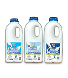 Plain Milk Pasteurized